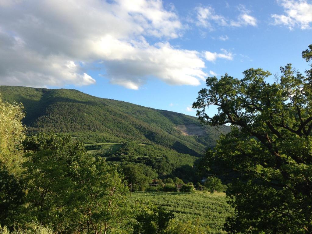 Agriturismo Nizzi Villa Assisi Buitenkant foto